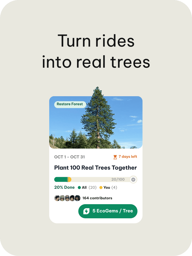 Turn rides into real trees.